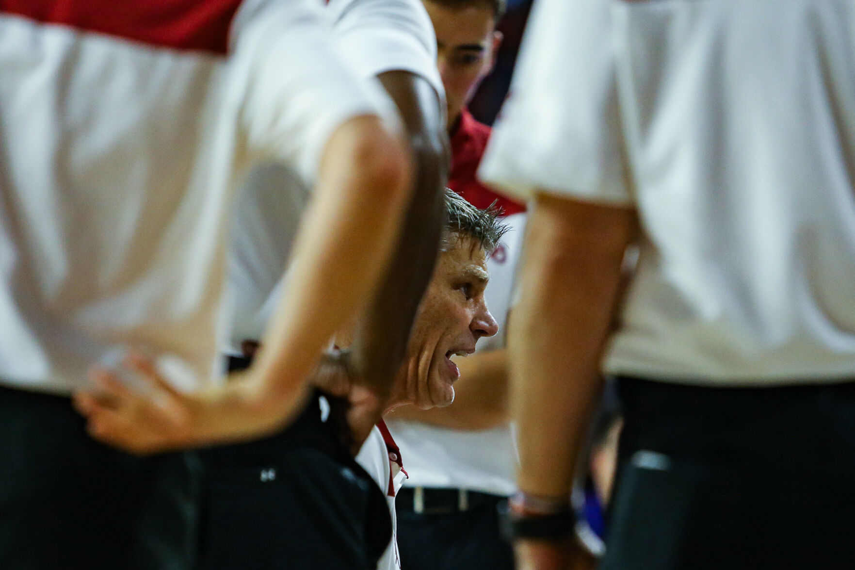Porter Moser